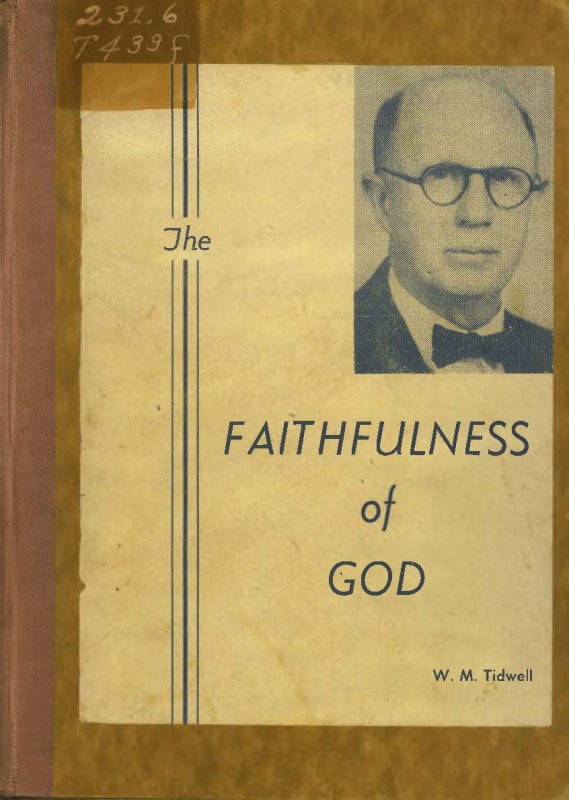 Image of book cover The Faithfulness of God