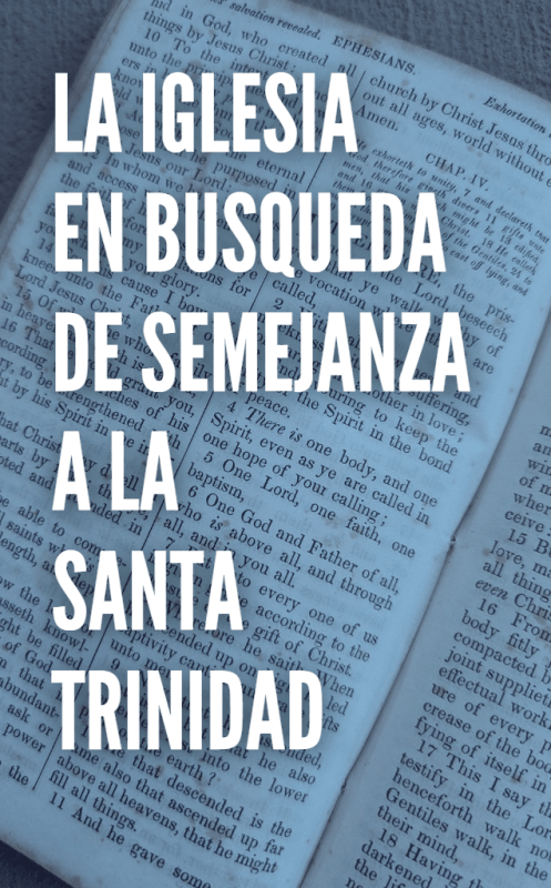 LA IGLESIA EN BUSQUEDA DE SEMEJANZA A LA SANTA TRINIDAD ES LA IGLESIA CONFORME A LA MISSIO DEI